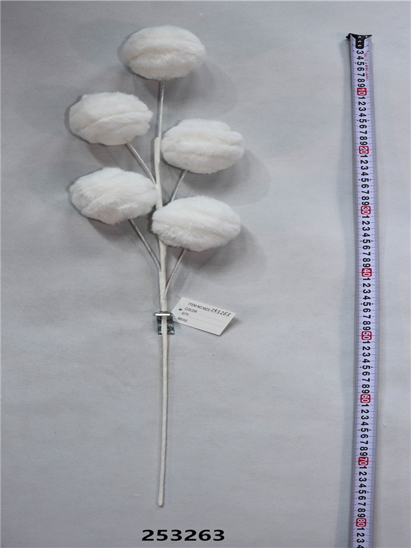 Product Display