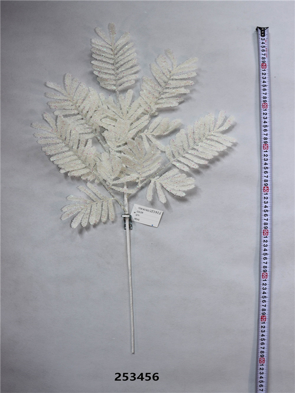 Product Display