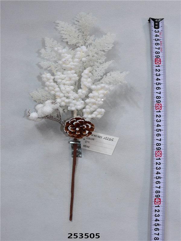 Product Display