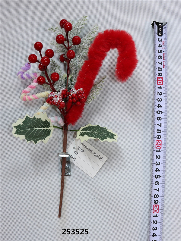 Product Display