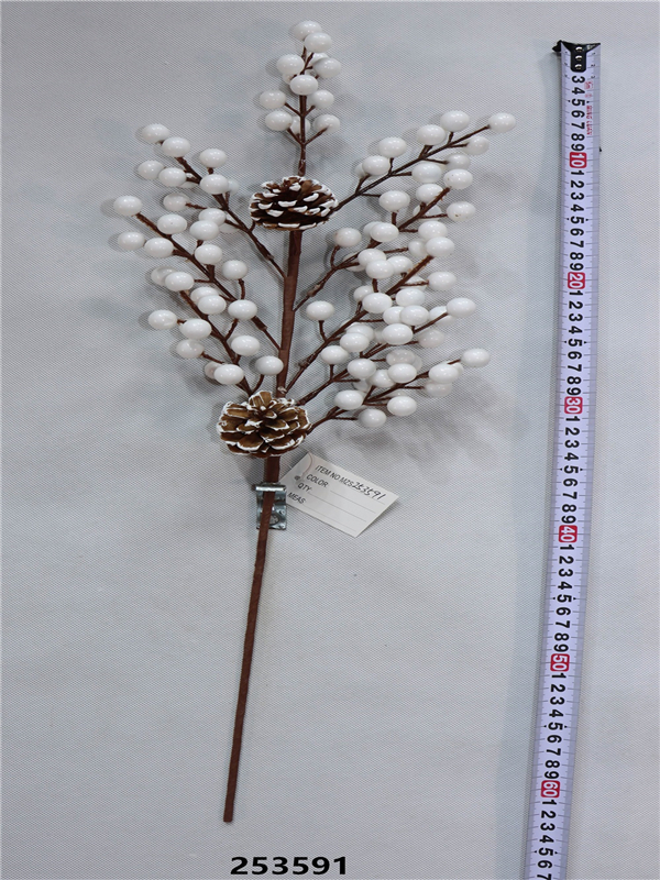 Product Display