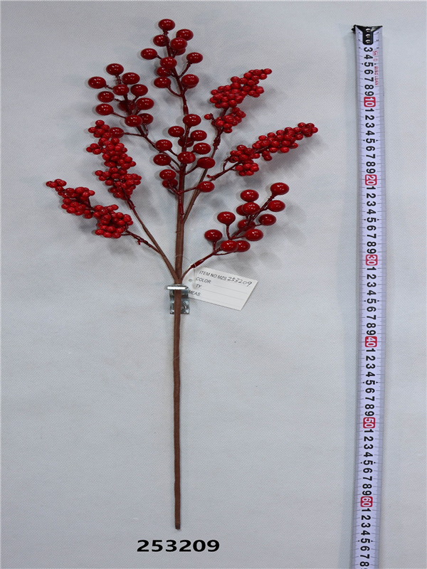 Product Display
