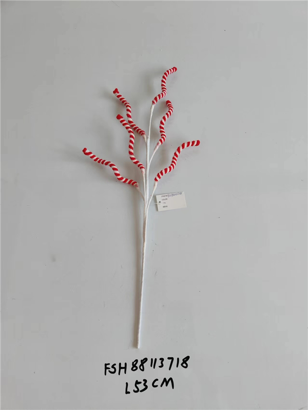 Product Display